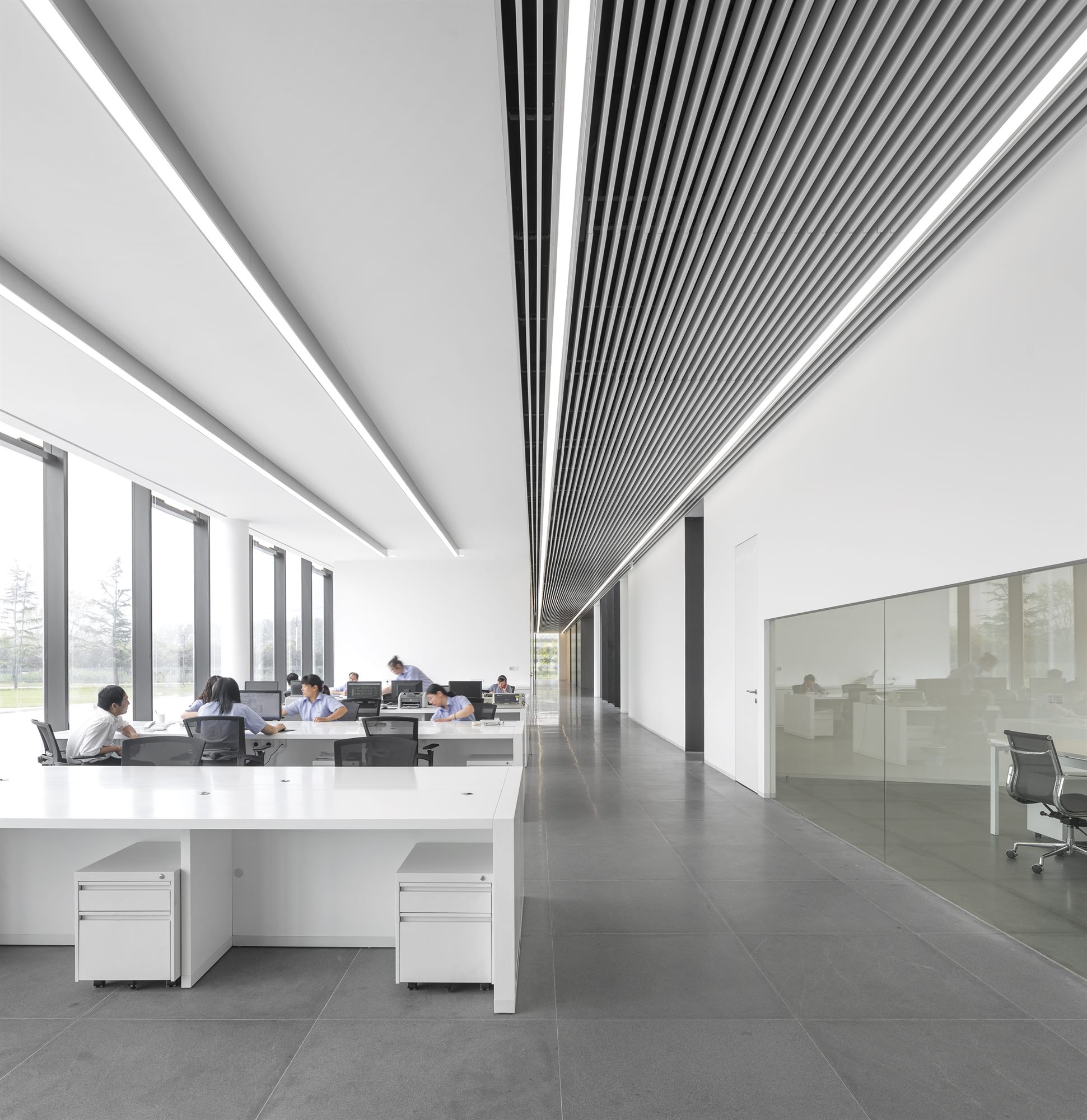 Bright open office under a linear slatted ceiling, Donghai office building