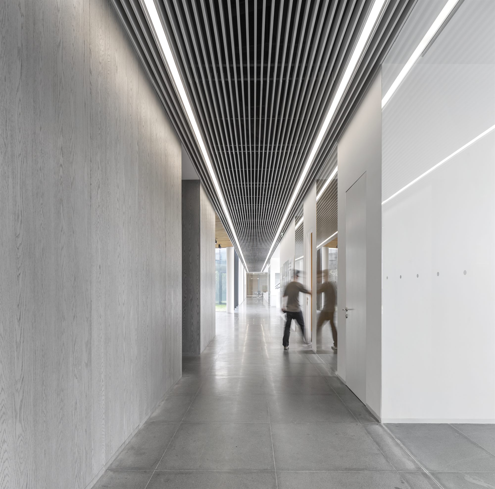 White and grey wood-veneered corridor with linear slatted ceiling, Donghai office building
