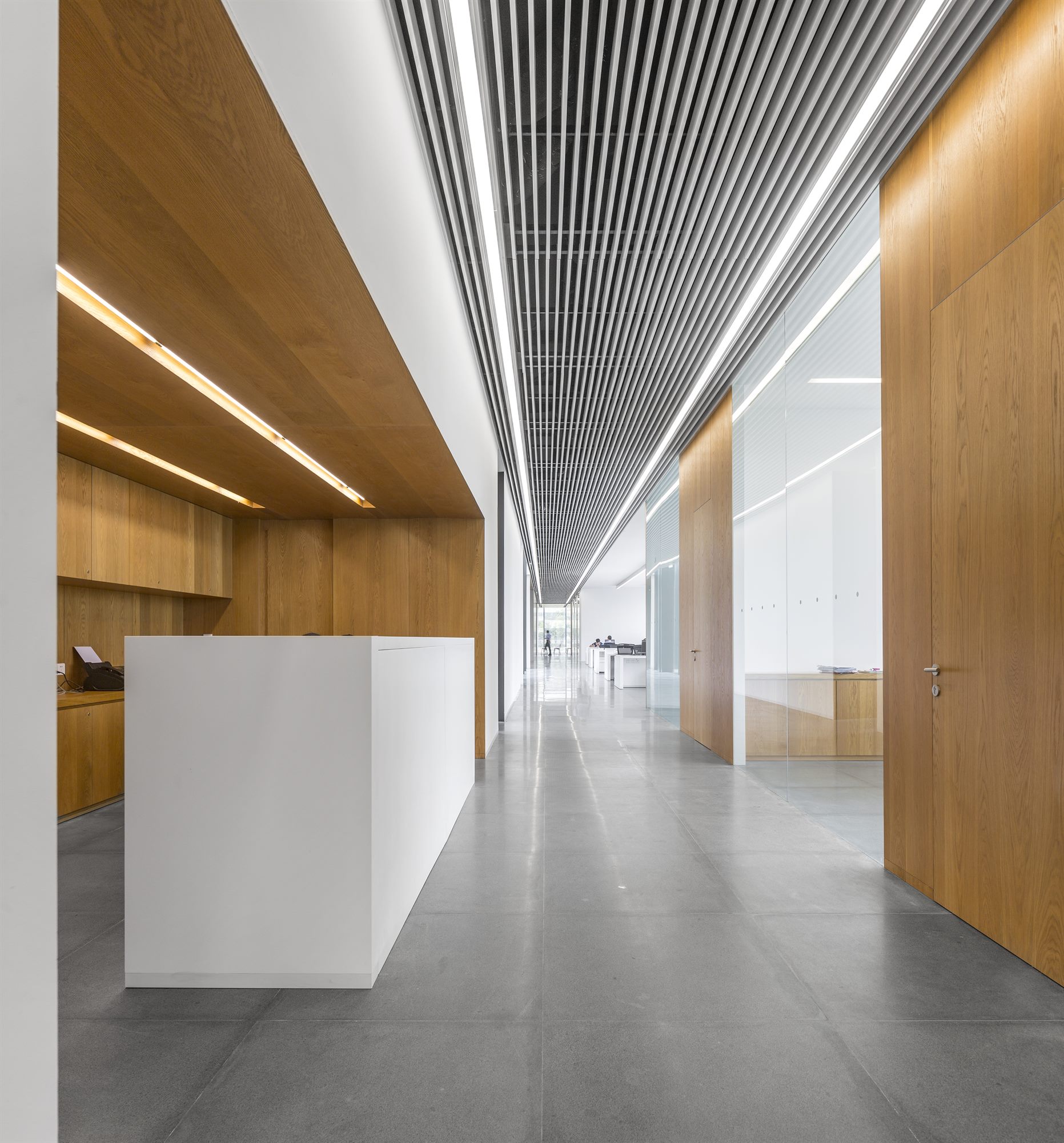 Corridor with timber panelling and slatted ceiling, Donghai office building