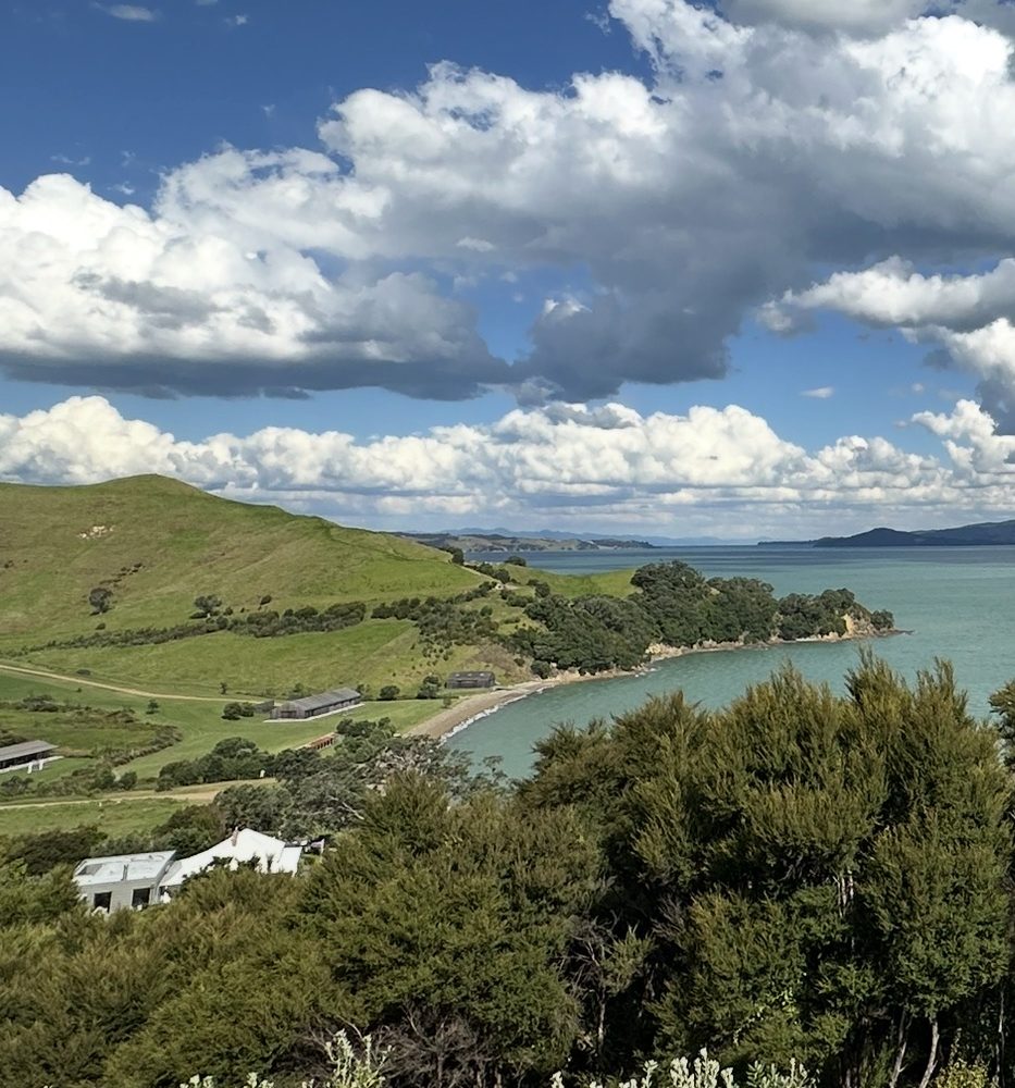 Coastal bay with green hills and native bush, Waiheke Island, New Zealand