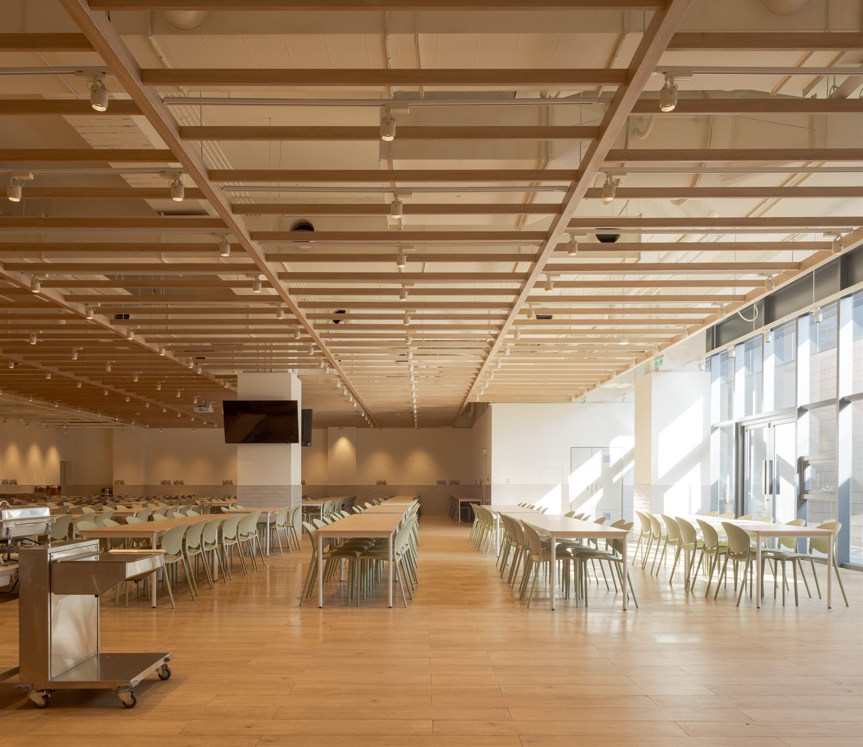 Staff canteen with timber ceiling and long tables, with sunlight entering from a sunken courtyard