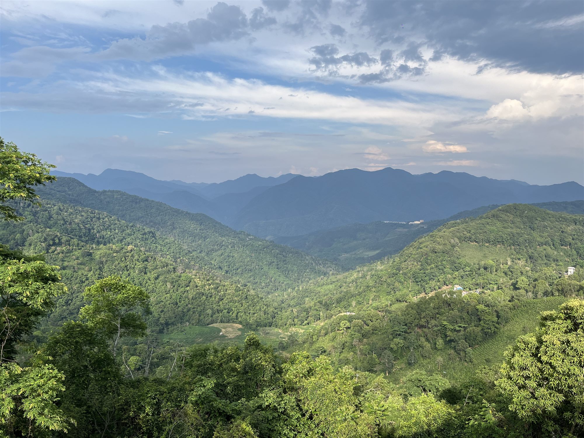 Forested mountains of Yiwu, Xishuangbanna, around the Shan Tea factory site