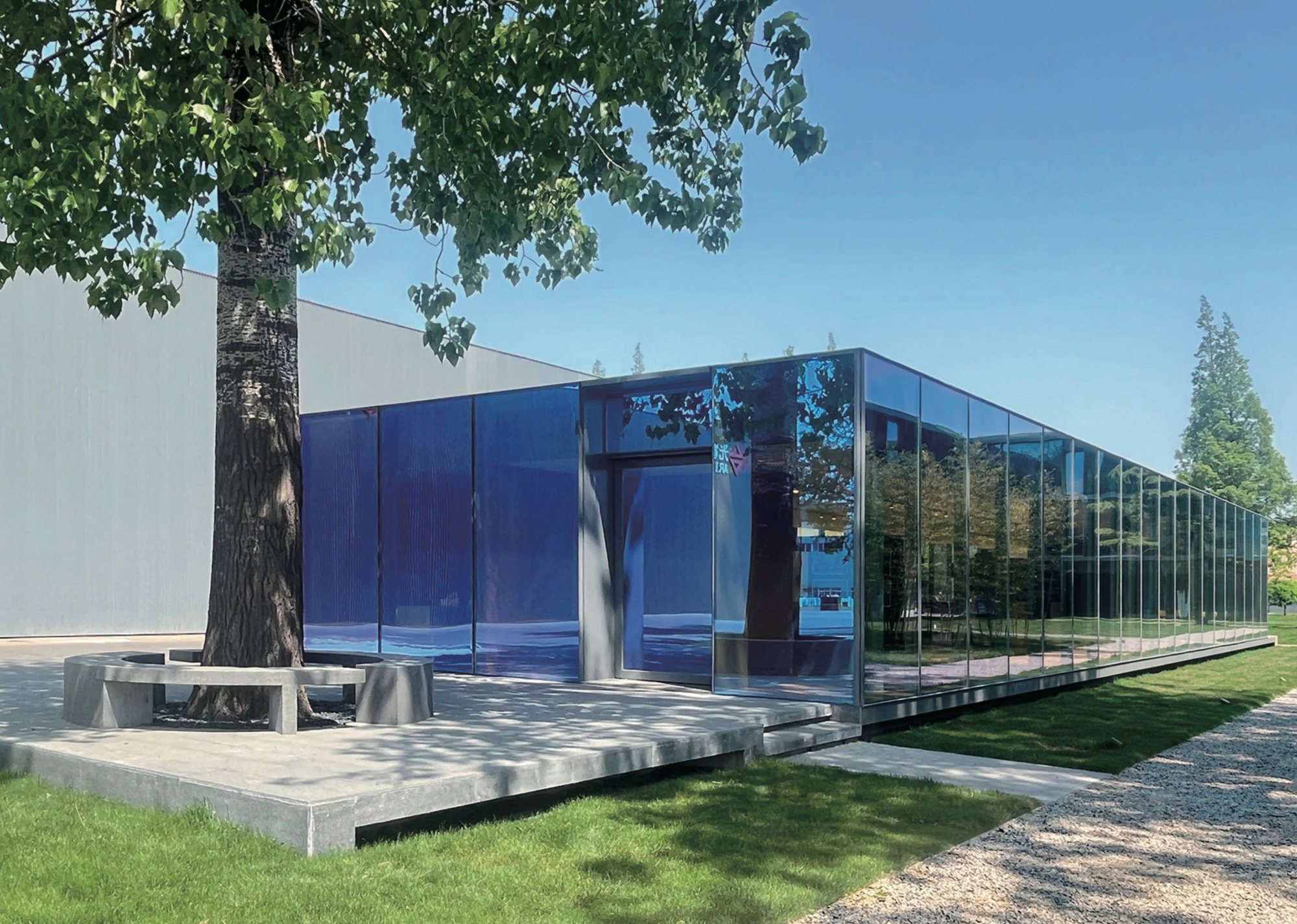 Purple glass façade of the showroom beside a large tree, Taiwan Glass Qingdao