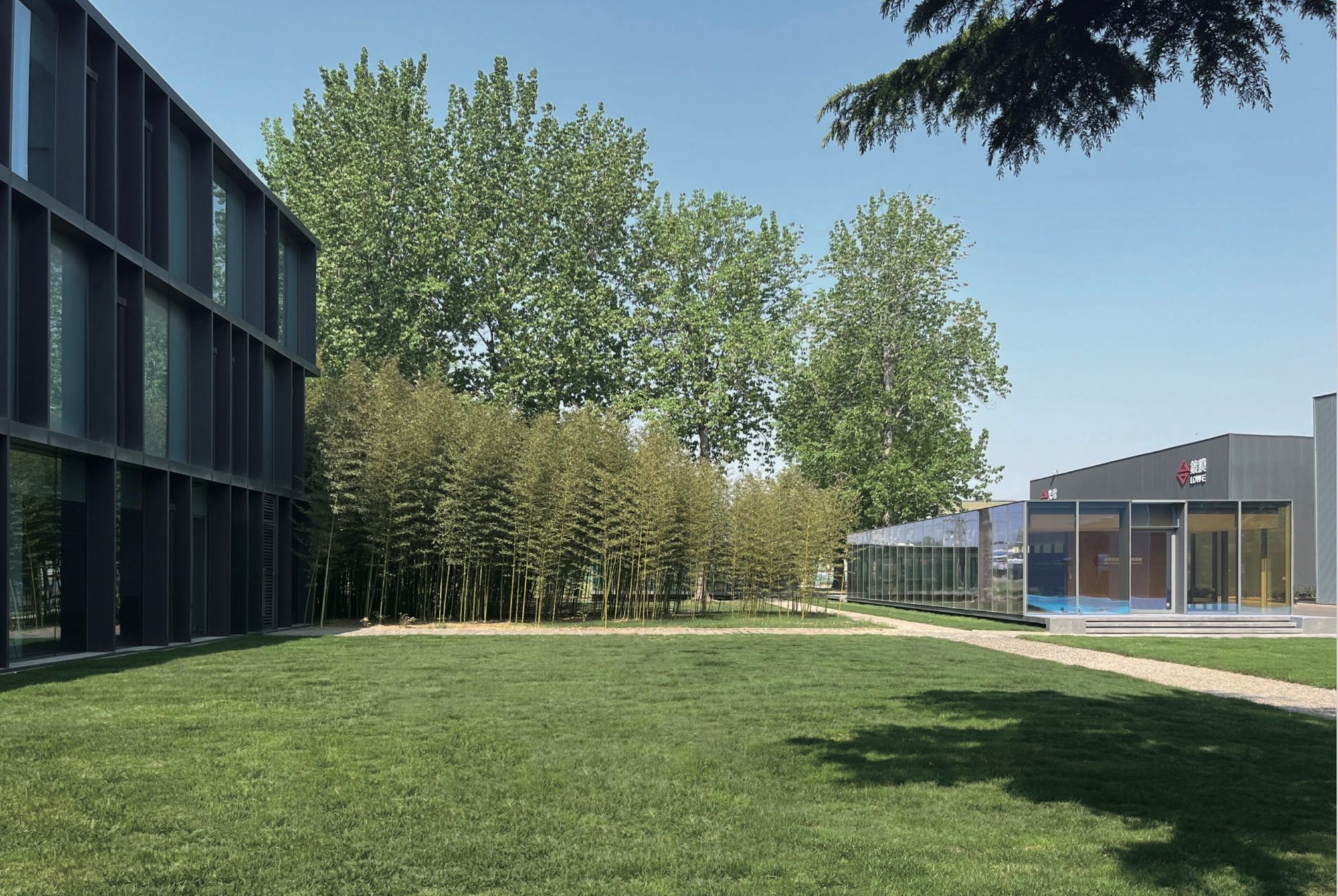 Showroom glass wall reflecting trees and lawn, Taiwan Glass Qingdao